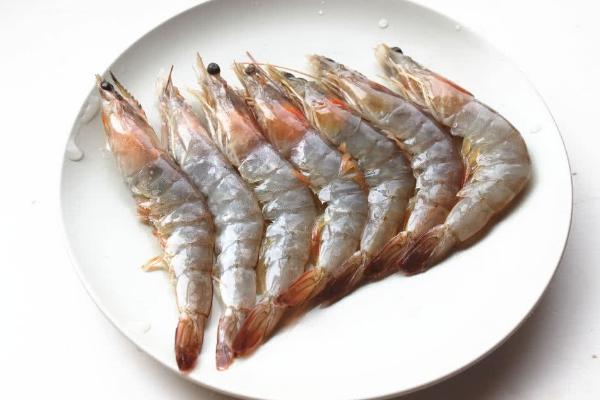 海蝦怎么養 海蝦的養殖技術與注意事項