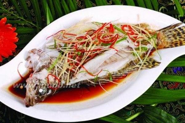 桂魚是什么魚 桂魚是海魚嗎 桂魚怎么殺