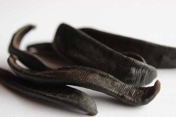 干螞蟥市場(chǎng)價(jià)格多少錢一斤 螞蟥是什么東西