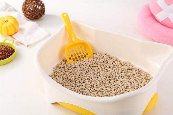 貓砂哪種好 貓砂怎么用 貓砂放多少合適