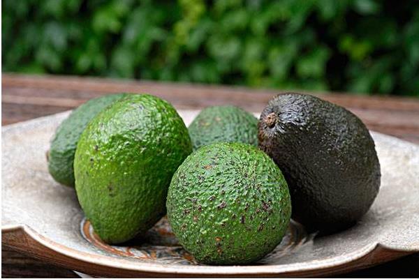 牛油果油的功效與作用及禁忌 牛油果營養(yǎng)價值