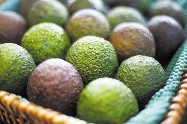 牛油果油的功效與作用及禁忌 牛油果營養價值