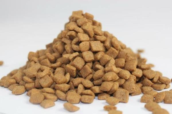 狗糧是什么意思 撒狗糧的經典句子有哪些