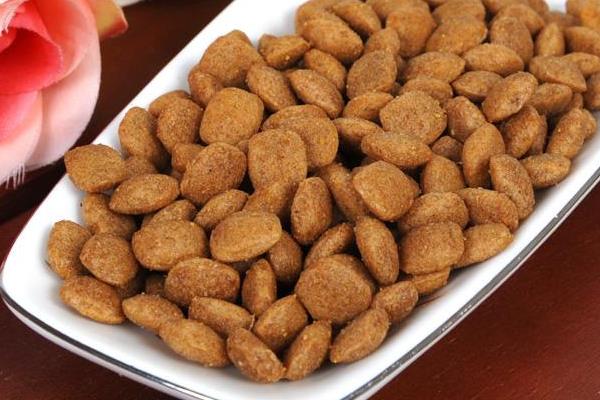 狗糧是什么意思 撒狗糧的經典句子有哪些