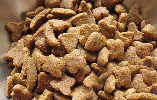 狗糧是什么意思 撒狗糧的經典句子有哪些