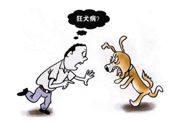 什么是狂犬病 狂犬病為什么治不好