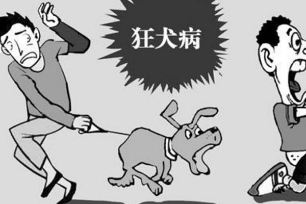 什么是狂犬病 狂犬病為什么治不好