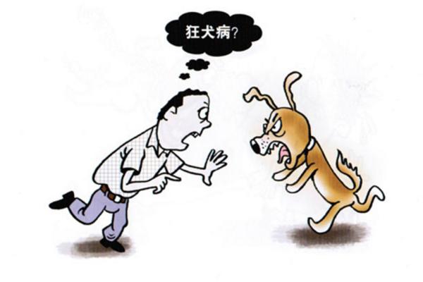 狂犬病為什么怕水 狂犬病通過什么傳播