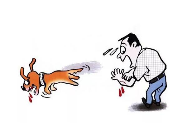 狂犬病為什么怕水 狂犬病通過什么傳播