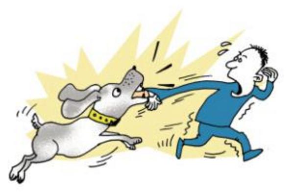 狂犬病為什么怕水 狂犬病通過什么傳播