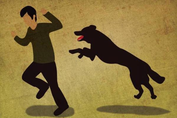 狂犬病為什么怕水 狂犬病通過什么傳播