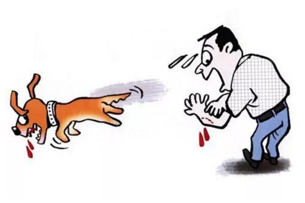 狂犬病的早期癥狀 狂犬病能治好嗎