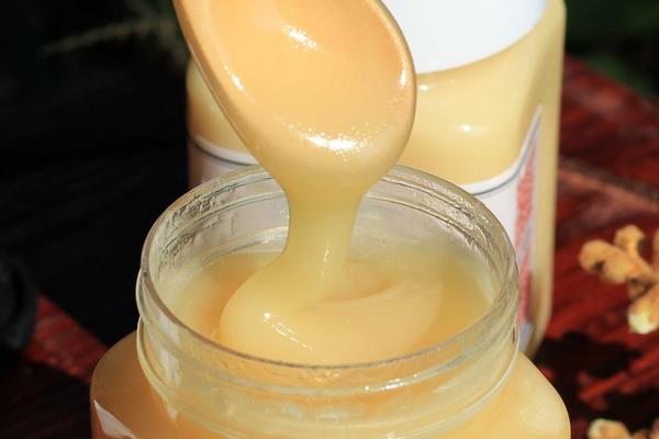 蜜哪種好蜂 蜂蜜分幾種 常喝蜂蜜好嗎