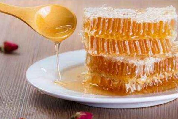 蜂巢泡酒的功效與及作用禁忌 蜂巢泡酒的做法