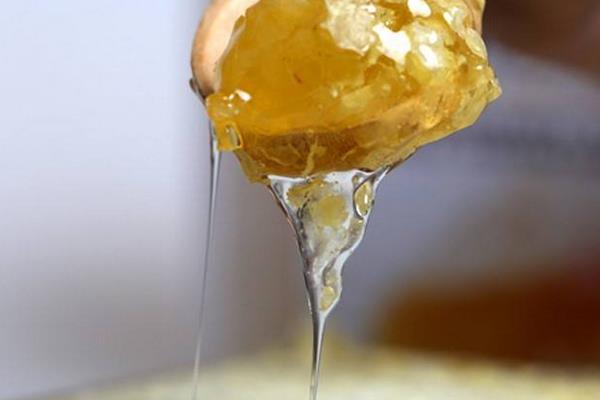 蜂巢能吃嗎 蜂巢不適合哪些人吃