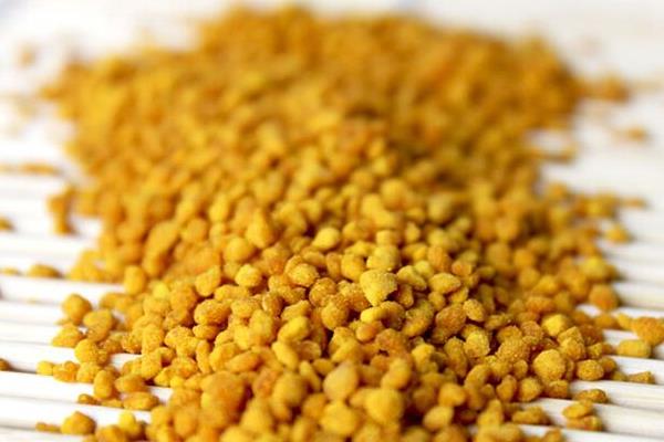 蜂花粉市場價格多少錢一斤 蜂花粉怎么吃最好