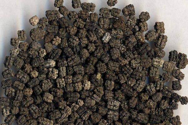 蠶沙是什么 蠶沙的功效與作用及禁忌