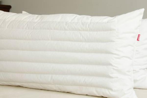 蠶沙枕頭的功效與作用 蠶沙枕頭的危害