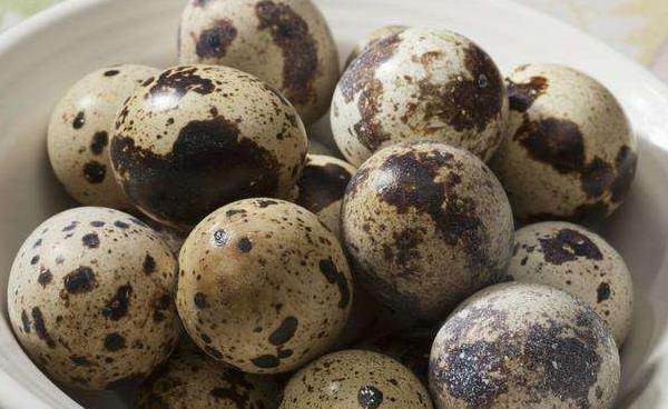 鵪鶉蛋皮能吃嗎 鵪鶉蛋不能和什么一起吃