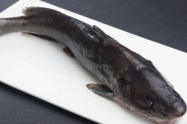 鮰魚怎么做好吃又簡單 鮰魚的家常做法大全