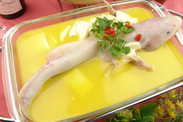 長江鮰魚市場價格多少錢一斤 鮰魚產地在哪里