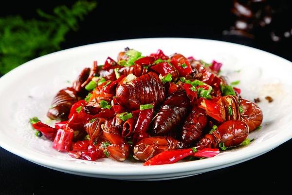 蠶蛹的功效與作用及禁忌 蠶蛹的營養價值