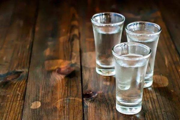 黑螞蟻市場價格多少錢一斤 什么人不適合吃黑螞蟻