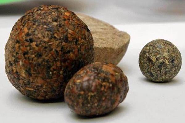 豪豬棗市場價格一克多少錢 豪豬棗正確的服用方法