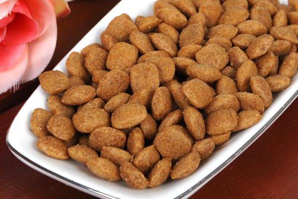 德國牧羊犬市場價格多少錢一只 德國牧羊犬吃什么食物