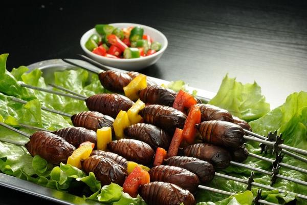 蠶蛹是什么變的 蠶蛹能吃嗎 蠶蛹好吃嗎