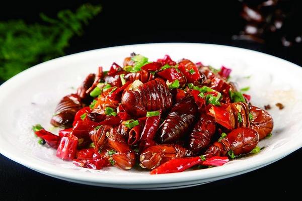 蠶蛹是什么變的 蠶蛹能吃嗎 蠶蛹好吃嗎