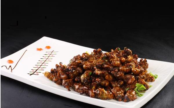 蠶蛹是什么變的 蠶蛹能吃嗎 蠶蛹好吃嗎