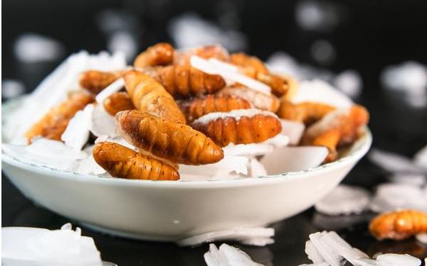 蠶蛹是什么變的 蠶蛹能吃嗎 蠶蛹好吃嗎