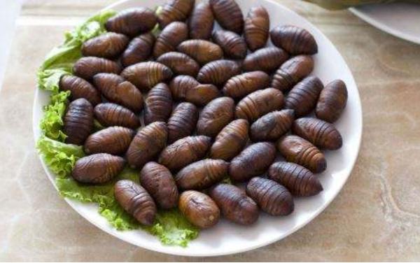 蠶蛹中間的黑心是什么 女性吃蠶蛹好處與壞處