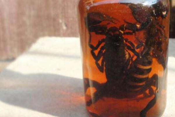 蝎子最怕什么 蝎子的天敵是什么