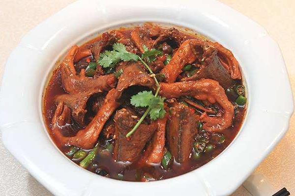 蜥蜴的功效與作用及禁忌 蜥蜴能吃嗎