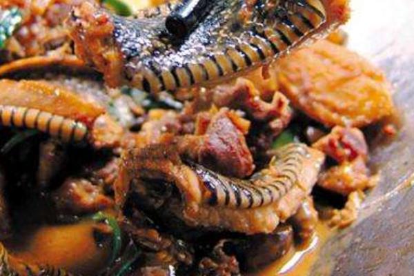 蜥蜴的功效與作用及禁忌 蜥蜴能吃嗎