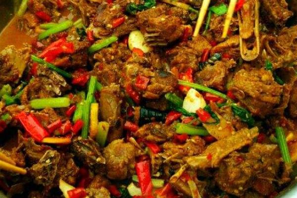 蜥蜴的功效與作用及禁忌 蜥蜴能吃嗎