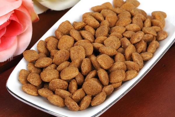 狗吃貓糧會怎么樣 貓糧和狗糧有什么區(qū)別