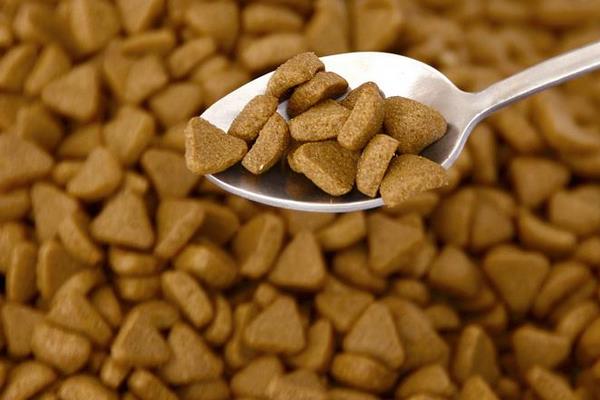 狗吃貓糧會怎么樣 貓糧和狗糧有什么區別