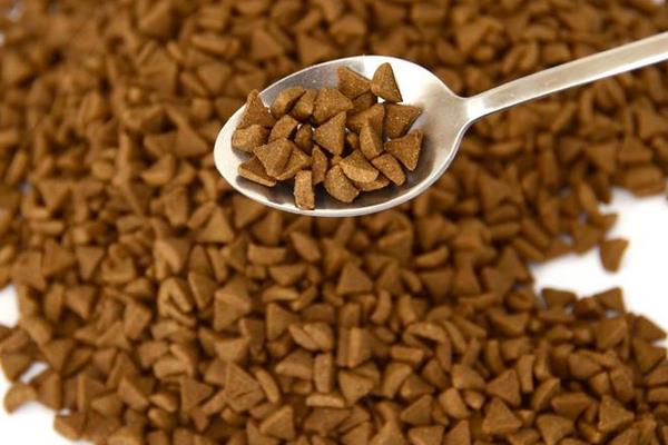 狗吃貓糧會怎么樣 貓糧和狗糧有什么區別