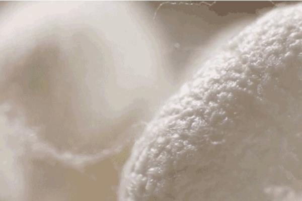 桑蠶絲市場價格多少錢一斤 桑蠶絲的優點