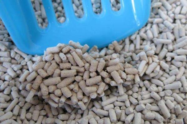 沒有貓砂用什么代替 貓砂可以用沙子代替嗎