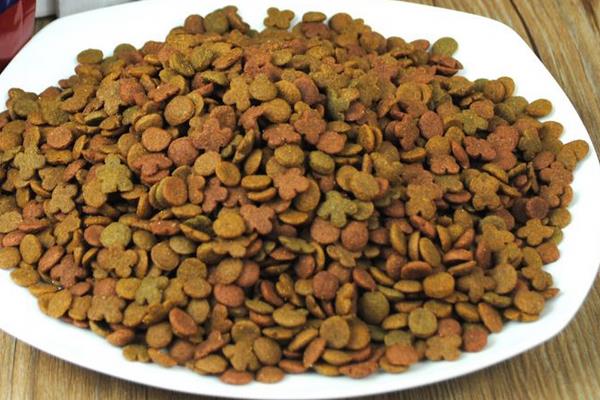 幼貓吃什么貓糧好 貓糧沒了吃什么應急