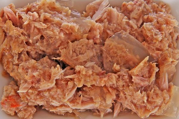 幼貓吃什么貓糧好 貓糧沒了吃什么應急