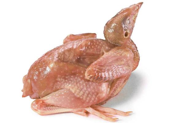 鵪鶉怎么做好吃又簡單 鵪鶉不能和什么一起吃