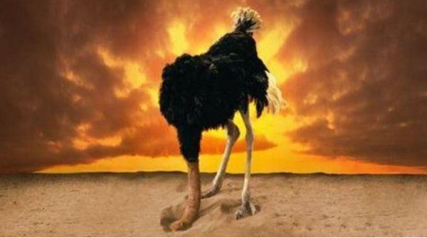 鴕鳥人是什么意思 鴕鳥人的特點