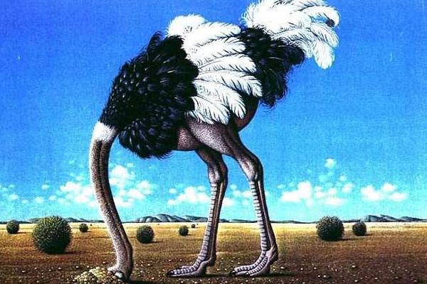 鴕鳥人是什么意思 鴕鳥人的特點(diǎn)