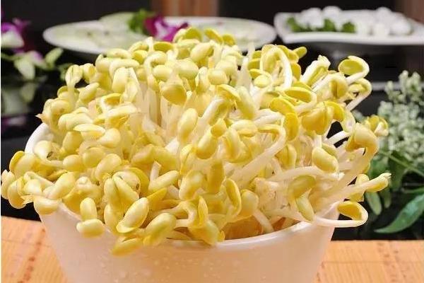 花生芽怎么發(fā) 家庭水發(fā)花生芽的方法