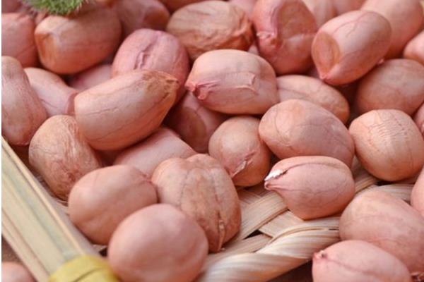 生花生米的功效與作用 生花生米的熱量是多少